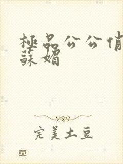 极品公公俏儿媳苏媚封面