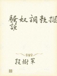 骚奴调教捆绑小说