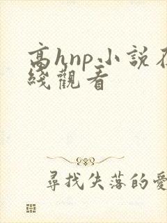 高hnp小说在线观看封面