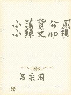 小荡货公厕h文小辣文np视频