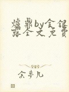 炉鼎by金银花露全文免费阅读笔趣阁