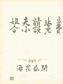 姐夫请止步乔百合小说免费阅读