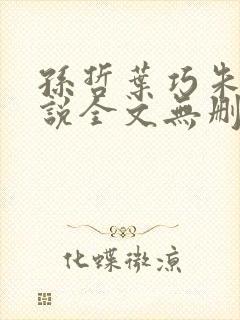 孙哲叶巧朱颜小说全文无删减免费阅读
