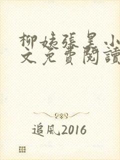 柳姨张昊小说全文免费阅读