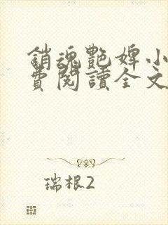 销魂艳婢小说免费阅读全文
