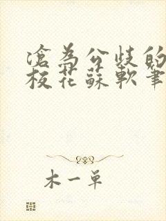 沧为公歧的清纯校花苏软笔趣阁