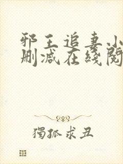 邪王追妻小说无删减在线阅读封面