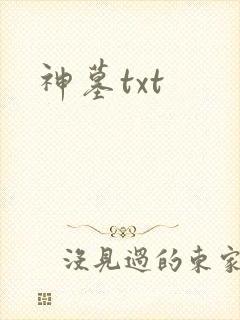 神墓txt