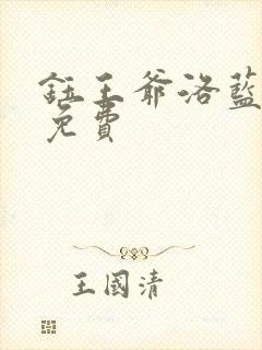 钰王爷洛蓝小说免费