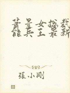 萧晨女总裁的全能兵王最新更新txt