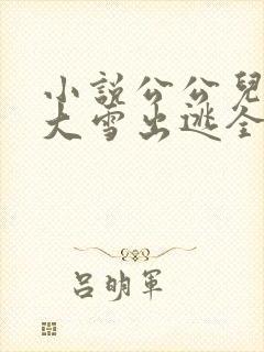 小说公公儿媳妇大雪出逃全文阅读