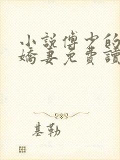 小说傅少的秘宠娇妻免费读封面