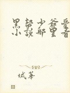 黑帮少爷爱上我小说哪里看