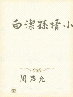 白洁孙倩小说封面