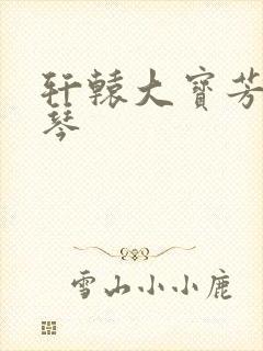 轩辕大宝芳菲雅琴