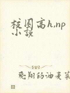 校园高h,np小说