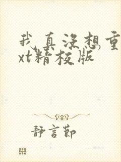我真没想重生txt精校版封面