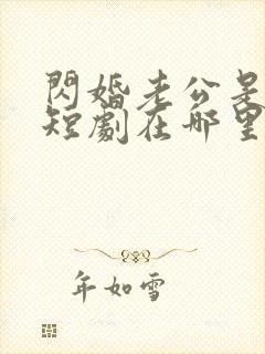 闪婚老公是总裁短剧在哪里免费看