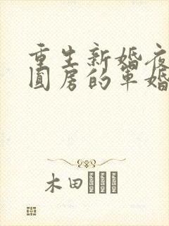 重生新婚夜正在圆房的军婚