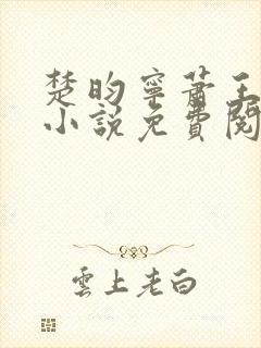 楚昀宁萧王穿越小说免费阅读无弹窗