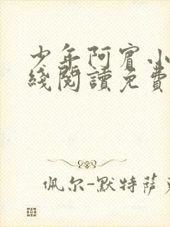 少年阿宾小说在线阅读免费全文