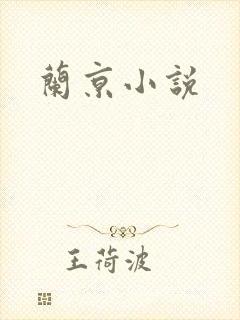 兰京小说