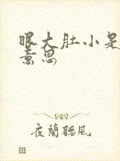 眼大肚小是什么意思封面