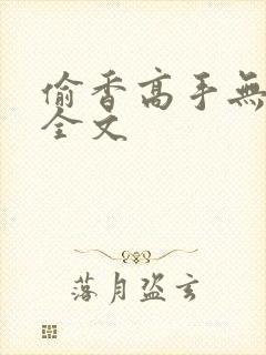 偷香高手无删减全文