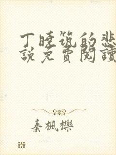 丁晓筑的悲哀小说免费阅读全文