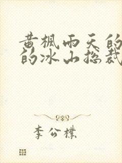 黄枫雨天的《我的冰山总裁老婆》