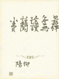 小说徐年最新免费阅读无弹窗全文