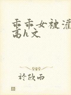 乖乖女被灌满精高h文