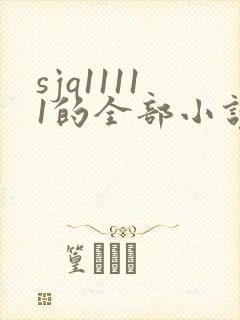 sjq11111的全部小说
