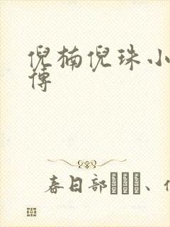 倪楠倪珠小雨全传