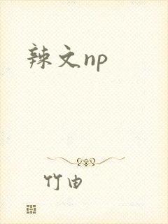 辣文np