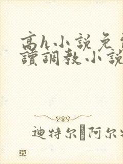 高h小说免费阅读调教小说免费阅读封面