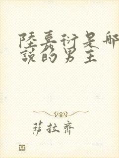 陆嘉衍是哪本小说的男主