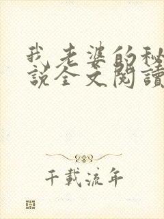 我老婆的秘密小说全文阅读