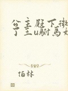 公主殿下微臣馋了玉u驸马姓傅