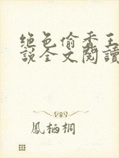 绝色偷香王佳小说全文阅读