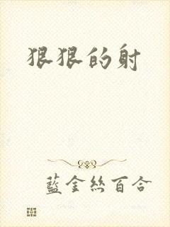 狠狠的射