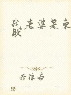 我老婆是东方不败封面