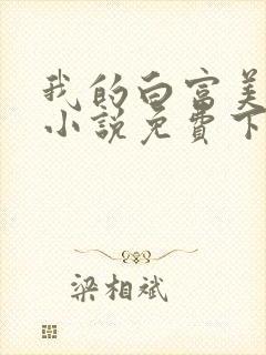 我的白富美老婆小说免费下载封面