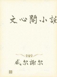文心阁小说