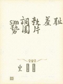 sm调教羞耻姿势图片