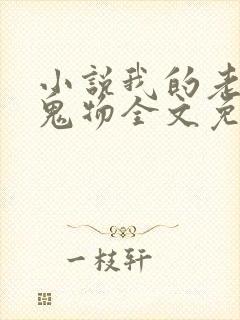 小说我的老公是鬼物全文免费阅读