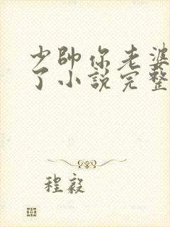 少帅你老婆又跑了小说完整免费