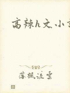 高辣h文小说封面