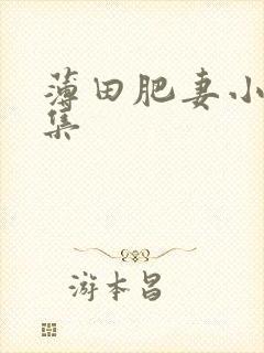 薄田肥妻小说全集