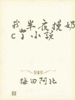 我半夜摸奶把她c了小说